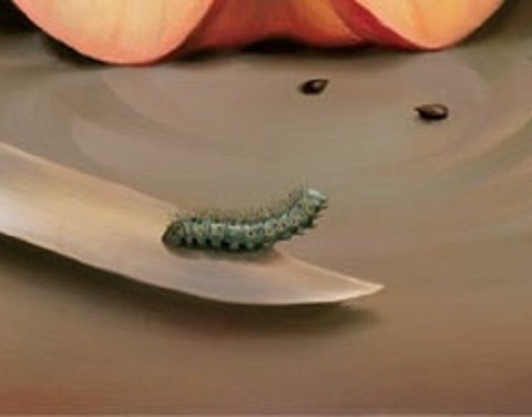 一番最初に何が見えたかでわかる「恐い心理テスト」がスゴすぎる！ 死、病気、裏切り… あなたが無意識に恐れていることがズバリ判明！の画像2