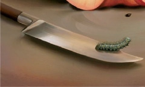 一番最初に何が見えたかでわかる「恐い心理テスト」がスゴすぎる！ 死、病気、裏切り… あなたが無意識に恐れていることがズバリ判明！の画像4