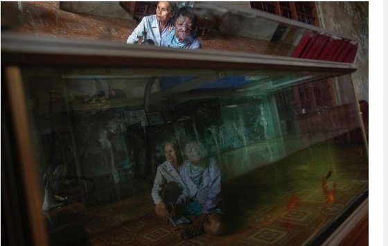 ベトナム「枯葉剤」の被害は終わっていなかった！ 今も苦しむ子どもたちの写真6選とモンサント社の大罪の画像4