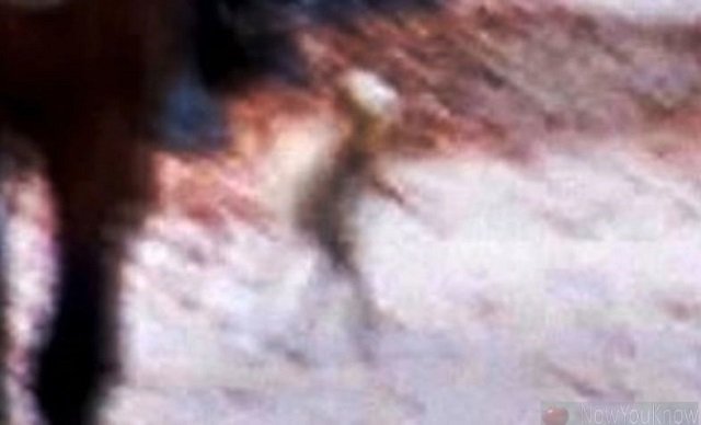 ヒョコヒョコ歩く「完全なる宇宙人」が国有林で激写される？無言貫く政府に深まる疑惑＝チリの画像1