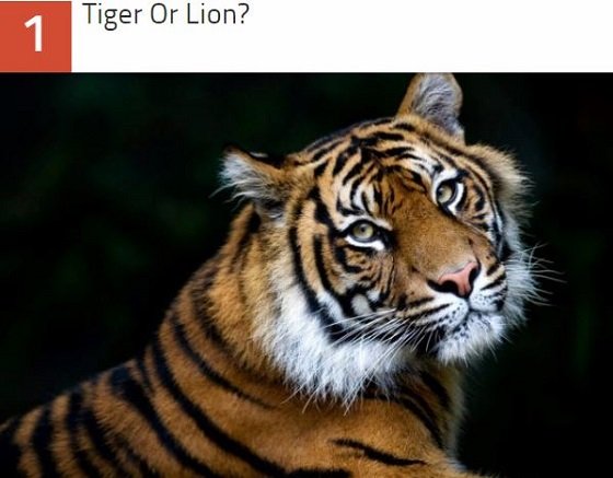 Wikipediaで勃発した歴史的編集合戦ベスト10！ アラスカ州チキン村から牛チョップまで…！の画像10