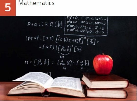 Wikipediaで勃発した歴史的編集合戦ベスト10！ アラスカ州チキン村から牛チョップまで…！の画像6