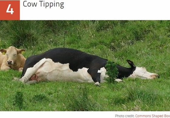 Wikipediaで勃発した歴史的編集合戦ベスト10！ アラスカ州チキン村から牛チョップまで…！の画像7