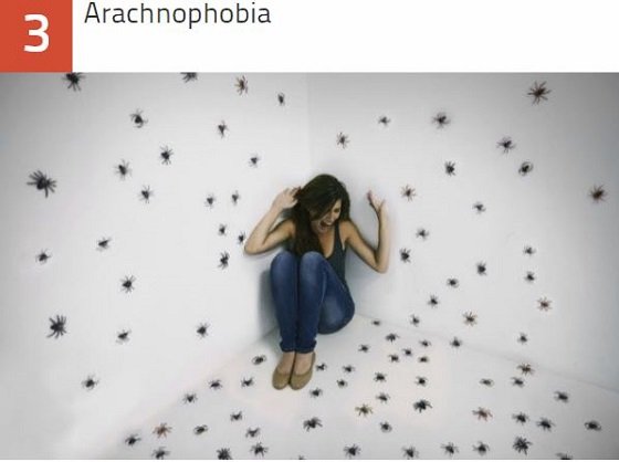 Wikipediaで勃発した歴史的編集合戦ベスト10！ アラスカ州チキン村から牛チョップまで…！の画像8