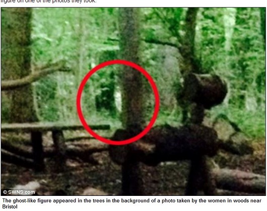 リアル「ブレア・ウィッチ・プロジェクト」？ 深夜の森に響き渡る謎の声と人影の画像1