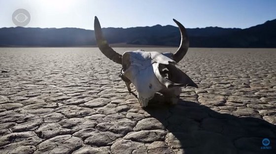 北朝鮮のミサイル発射→2017年に第三次世界大戦勃発はノストラダムスが予言していた!! 「27年続く」殺し合いの衝撃的結末とは!?の画像4