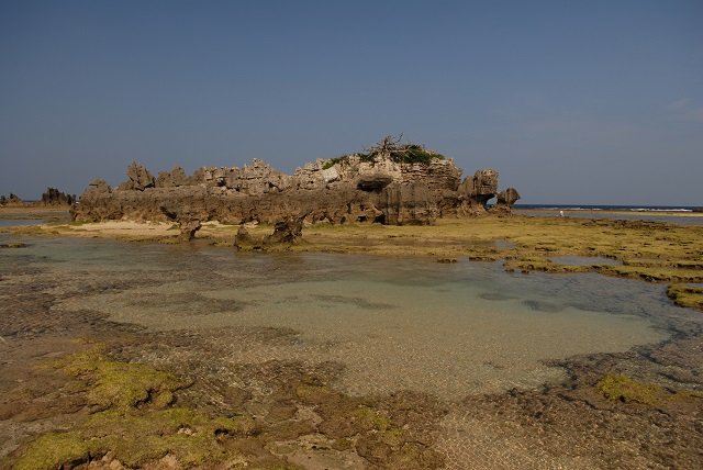 【奇葬】ヤドカリ葬の島『ニャーデバナ』、現地民が絶対に近づかない奄美大島の聖地を取材！ 「肉を吸い取る音が聞こえてきた」の画像4