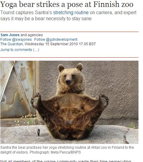 ヨガする熊!?「完全に熟練者の動き」でインストラクターも驚愕!!＝スペインの画像2