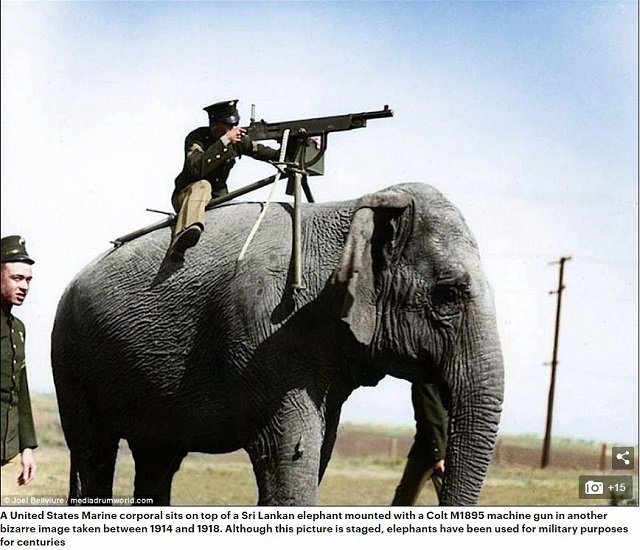 カラーで蘇った20世紀前半の軍人写真10枚がお茶目すぎる！ 海外で超大反響…  ヌードトラップ、象マシンガンも！の画像2