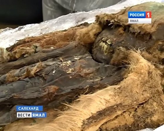 シベリアの永久凍土から「北極文明のミイラ」が2体出土！13世紀頃、彼らはなぜそこで果てたのか… ペルシャ文明とも繋がりか!?の画像3