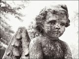 空から“白い殺人糸”が降ってくる!? 作家・新田次郎が遭遇した、恐怖の「エンゼル・ヘアー殺人事件」