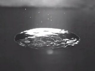 雨が降りはじめる時のアノ独特のにおいが科学研究によって解明される