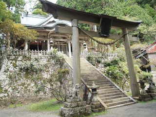 死にかけるほどの「呪い」をお祓い!?　パワースポットのラスボス「玉置神社」!!