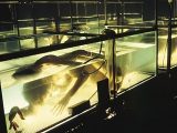 「Xファイル」で神レベルに面白かったエピソード、ベスト4! 編集長が徹底解説、現実にあった事件も…!?