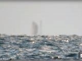 【動画】真っ昼間の湖に「超巨大幽霊船」が出現！水中に隠されたUFO、水面を歩くキリストの可能性も!?＝米