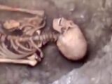 【速報】ロシアで正体不明「古代エイリアン女性」の骸骨が発見される! 謎の長頭、白すぎる歯… “パラカスの頭蓋骨”と関連か!?