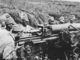 「カメをレイプして泣きながら食べた」元日本兵が語る南方戦線のヤバすぎる実態