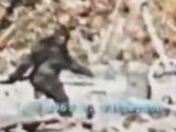 獣人「イエティ」が公式動物となる日も近い? ビッグフット「パターソン・フィルム」の真実も…!