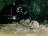 【神秘】メキシコ水中洞窟でマヤの神殿など200以上の遺物が発見される! 1万年前の巨大生物の骨も!