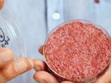 【禁忌】“人間の細胞”で作った培養肉はカニバリズムのタブーを打ち破る? リチャード・ドーキンスの問いに世界が激論!