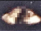【衝撃】船型UFOを“漕ぐ”必死過ぎる宇宙人画像が公開される! 夕日をバックにエイリアンがクッキリ!=米