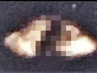 船型UFOを“漕ぐ”必死過ぎる宇宙人画像が公開される！ 夕日をバックにエイリアンがクッキリ！＝米