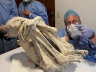 ナスカの「純白・長頭・3本指ミイラ」は“新種の人類”だった!? DNAの1.5％に異変… 研究者「21世紀の最重要発見」