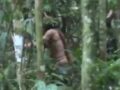 絶滅したはずの「名無しの裸族」最後の生き残り“ザ・ラストマン”の姿が初公開！ アマゾン開発で全虐殺、1人で生きた22年とは？