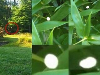 「撮影しすぎると死ぬ」アメリカで“超接近オーブ”が激写される！UFOや精霊の可能性も!?