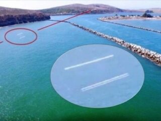 ドローン空撮映像に2体のファストウォーカーUFO出現！ 「こんなの見たことない」 超高速飛行、鳥ではあり得ない謎物体に衝撃広がる