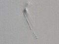 南極に隠された22個の「謎の巨大構造物」がグーグルアースで発見される！ 滑走路や真四角の物体…エイリアンの秘密基地か！