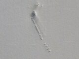南極に隠された22個の「謎の巨大構造物」がグーグルアースで発見される! 滑走路や真四角の物体…エイリアンの秘密基地か!