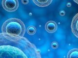 世界中の論文“3万本以上”が誤りだった? 恐るべき実験用細胞の汚染の実態