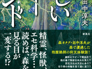 【インタビュー】樹海、明治神宮、縄文杉…日本の不思議な場所やオカルトとの向き合い方を森林ジャーナリストが語る！