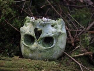 腐りかけでハエだらけの死体にドロドロに溶けた死体……樹海で出会った死体たちを解説！