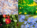 好きな“春の草花”を選ぶだけで「今の悩みを解決する方法」判明! 充実した新生活に向けて… Love Me Doが本気アドバイス!
