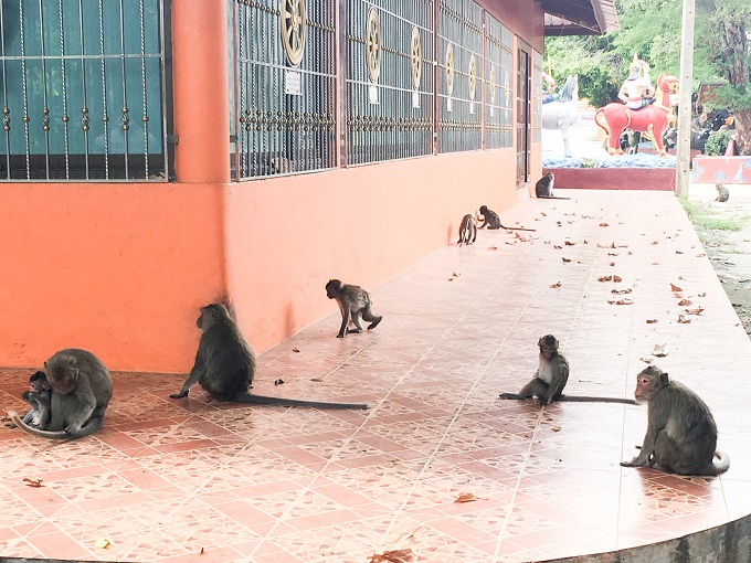 タイ「地獄寺」を26歳女子大生「地獄ちゃん」が衝撃案内! 青春の全てを地獄寺研究に捧げたグロテスク・エリート女子がヤバイ!の画像8