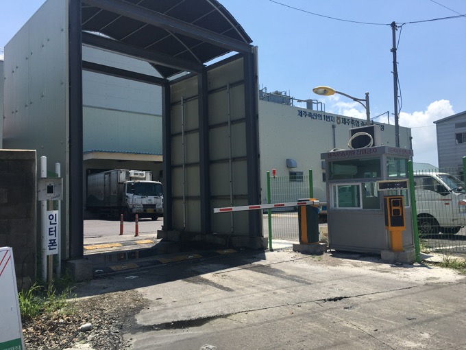 胎児が入った豚の子宮をみじん切りにして生で食す…韓国の伝説料理「セキフェ」を食べてみた！ 犬鍋よりもレア、お味は!?の画像2