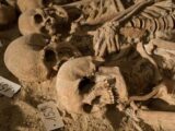 整然と並ぶ200体以上の骸骨が出土  500年以上前の大量死の歴史が明らかに?=パリ