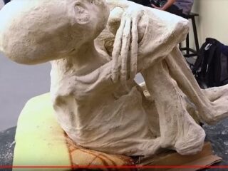 ナスカで発見された「3本指の純白宇宙人ミイラ」、ついにDNA鑑定結果が公開される！ 専門家絶句の“正体”とは!?