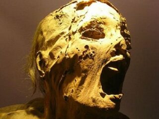 頭に杭、絶叫するミイラ、永久死体…夢に出てきそうなインパクトありすぎる恐怖の亡骸7選