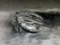 誰も解き明かせない「バルト海に沈む謎の巨大異物」 ― 科学者を5年間悩ませ続けるUSO（未確認潜水物体）の正体とは？