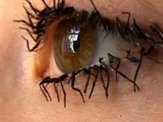 遺灰家電、へそのゴマでチーズ、超怖い“生き人形”も…！ 「人体パーツ」から作られた恐ろしいのに魅惑的なアイテムベスト5