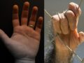 人間の手はチンパンジーの手よりも原始的で未発達だった!!