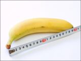 【衝撃】女性がペニスに求める要素は「サイズ」ではなく、◯◯だった!!(最新研究)