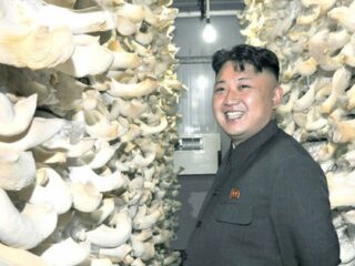 北朝鮮が超強力エナジードリンクを開発!! 身体能力の向上と疲労回復に効果抜群!?