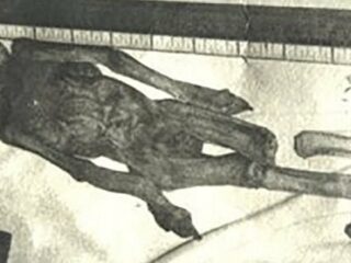 “ドロパストーン”の謎！1万2000年前に中国でUFOが墜落、エイリアンが取り残されていた！？