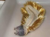 “金色の剛毛”で覆われた正体不明の生物が南極に生息していた! 理学博士が解説するも「謎だらけ」