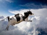 【緊急考察】大地震の前兆か!? 続出する動物の異常行動