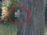 グーグルマップに“灰色顔の少女霊”と死神がクッキリ! 本気でヤバい表情… 地元住民も恐れる米国最恐心霊スポット「悪魔通り」の怪